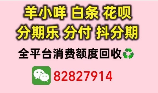 花呗套现和蚂蚁花呗提现的方法蚂蚁花呗是蚂蚁金服推出的...